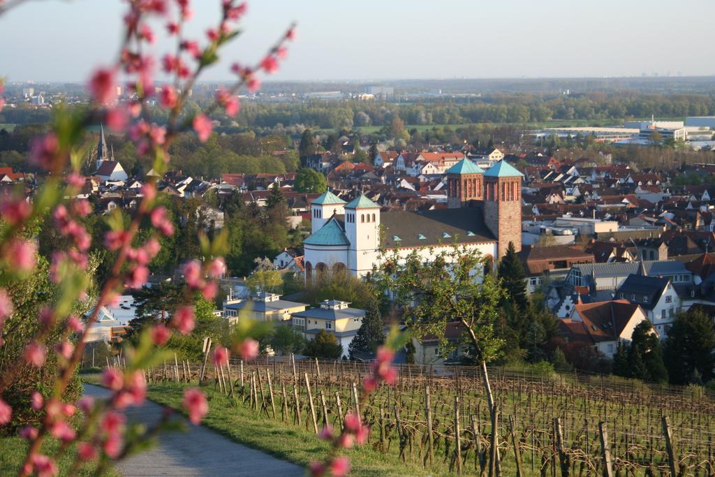 Komfort-Ferienwohnungen Horster Bensheim Zimmer foto