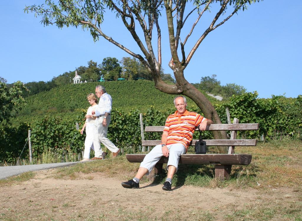 Komfort-Ferienwohnungen Horster Bensheim Zimmer foto